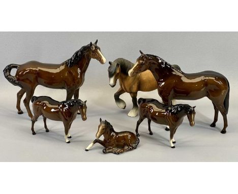 ROYAL DOULTON HORSES/PONIES - 21cms the tallest and a model of a Welsh Cob/Shire Horse
