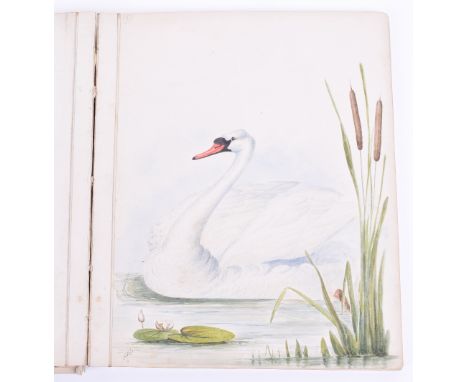 Victorian Artists Sketchbook, the cover bearing the name Emily E Bright September 18th 1879. Inside the book are some wonderf