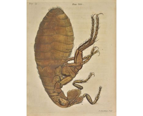 Albin (Eleazar). A Natural History of Spiders and other curious Insects, published John Tilly for R. Montagu and others, 1736