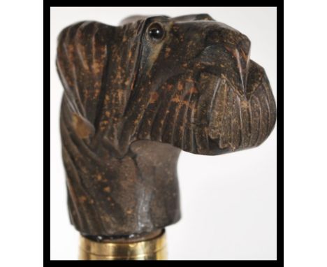 A malacca walking stick having a carved wooden dogs head knop / handle to the top with glass eyes. Measures 93cm.