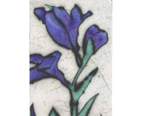 
	
		Kay Spare
		Blue Iris (detail), 2020
		Drypoint and Watercolour on Paper
		Signed verso
		15 x 10cm (5¾ x 3¾ in.)
		&nbs