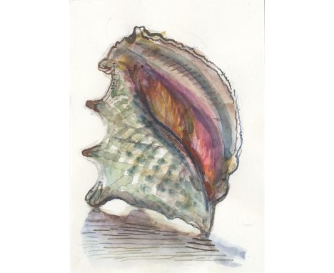 
	
		Richard Bawden
		Sea Shell, 2020
		Watercolour on Paper
		Signed verso
		15 x 10cm (5¾ x 3¾ in.)
		Richard Bawden RWS NE