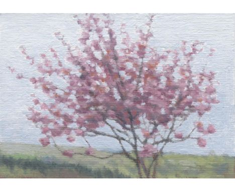 
	
		Kate Sherman
		Blossom Tree, 2020
		Oil on Paper
		Signed verso
		10 x 15cm (3¾ x 5¾ in.)
		Born in 1970, Kate Sherman g