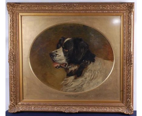 Charles Grey RHA (1808-1892) - Head and shoulders portrait of a St Bernard dog, oil on canvas, signed lower left, framed as a