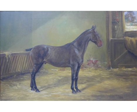 J. Valentine, portrait of a brown stallion, oil on canvas, dated 1913, 51 x 76cms, framed