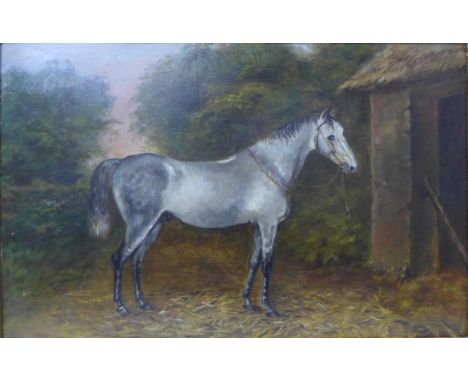 English School, portrait of a grey stallion, oil on panel, 29 x 44cms, framed