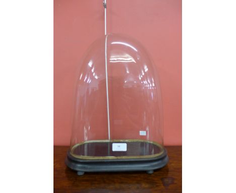 A glass clock dome, on ebonised base