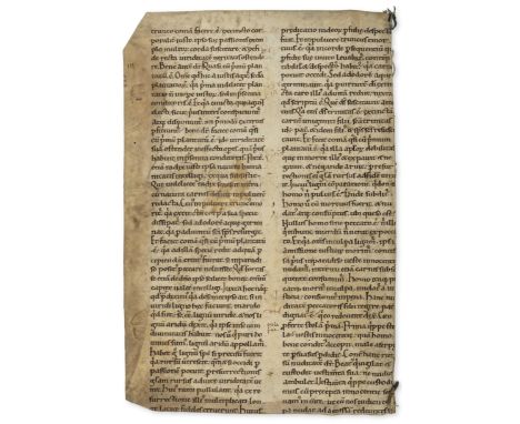 Gregory I (Pope, Saint, c. 540-604) Substantial fragment from 2 pages of Saint Gregory's Moralia, 2pp., manuscript in Latin, 