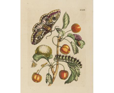 Insects.- Merian (Maria Sibylla) Histoire des Insectes de l'Europe, translated by Jean Marret, first edition in French, half-