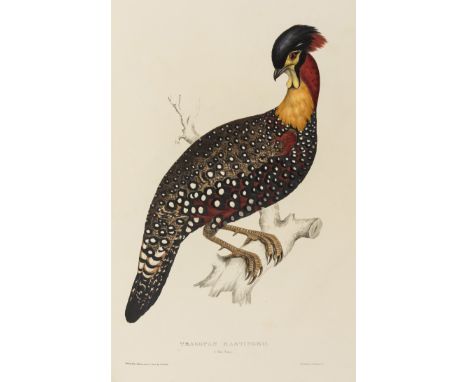 Birds.- Gould (John) A Century of Birds from the Himalaya Mountains, first edition, first issue, early issue bound from the p