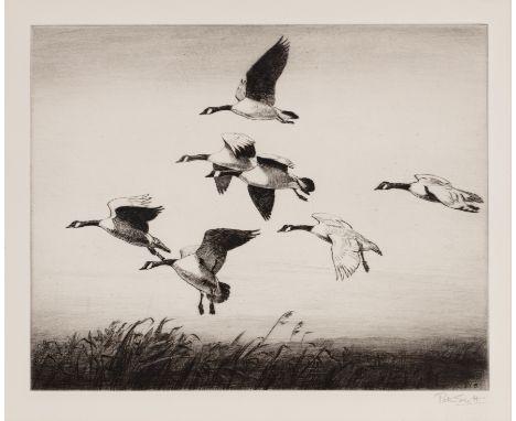 Sir Peter Markham Scott (British, 1909-1989) etching of a flock of Canada geese in flight, numbered 5 and twice signed to the