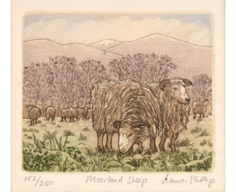 Laura Phillips (20th/21st Century British School)'Moorland Sheep', etching and aquatint, numbered 152/250, 9cm x 10cm  Plate 