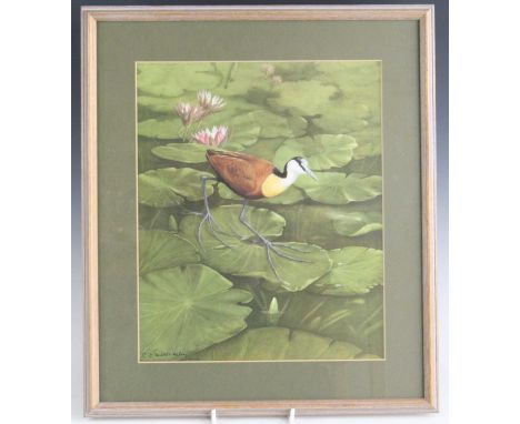 Chloe Elizabeth Talbot Kelly, (b.1927), a set of six ornithological prints to incude Jacana, Lilac-Breasted Roller, Black-Hea