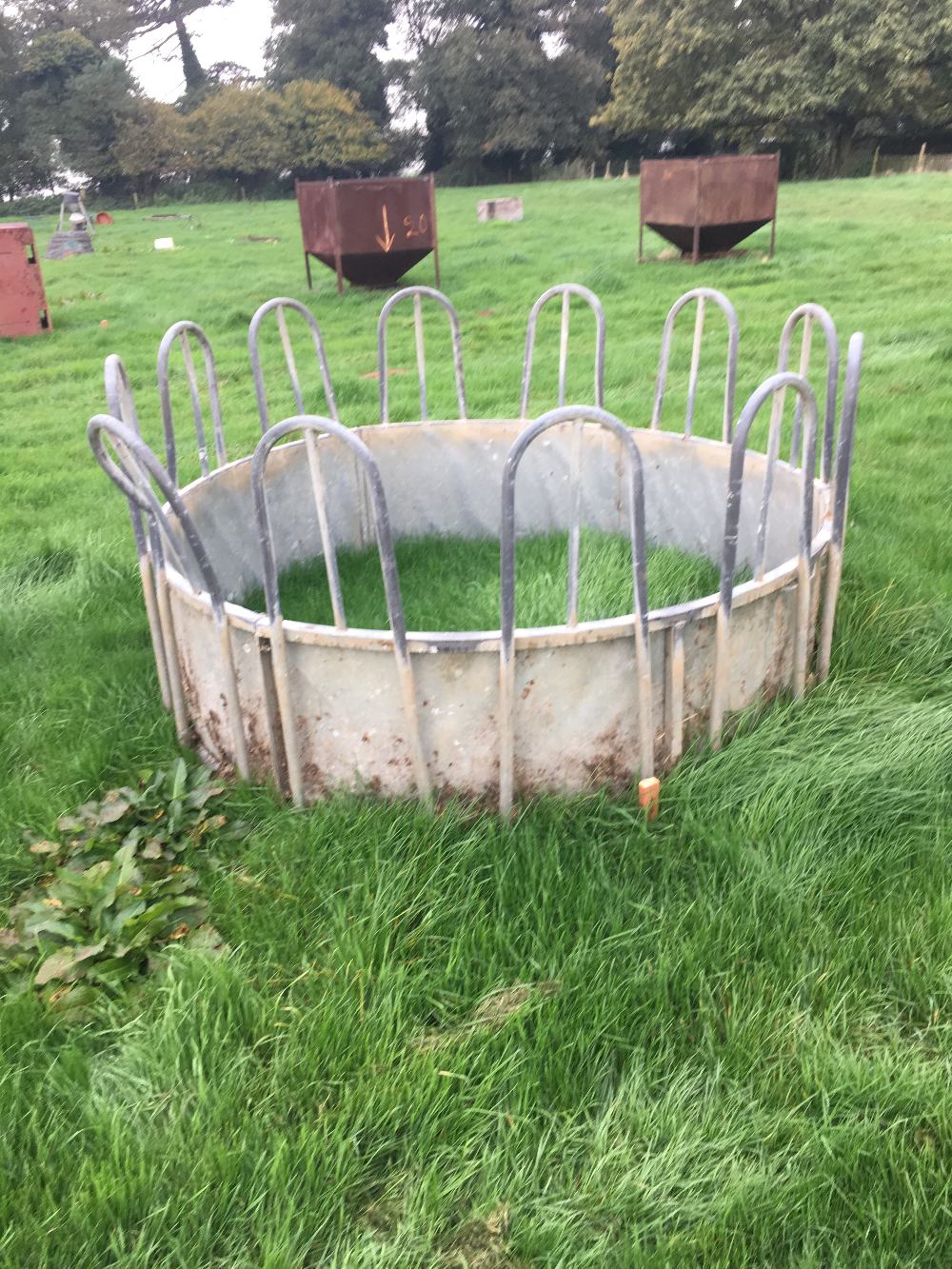 Cattle Feed Ring