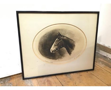 R. Denholm, Cattam, Cuttle, ink on card, iniltialed and signed bottom right (24cm x 32cm)
