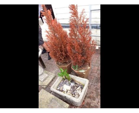 A rectangular garden trough, together with two terracotta plant pots 