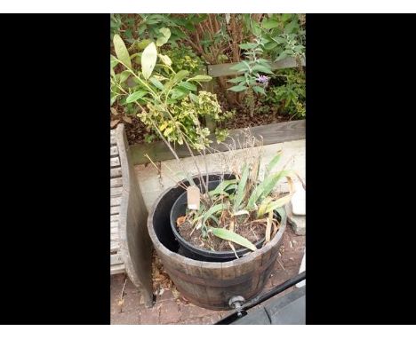 A wooden and metal bound garden planter 