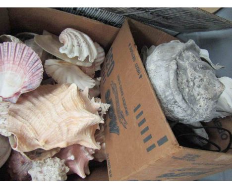 Two boxes of mixed shells including a shell lamp