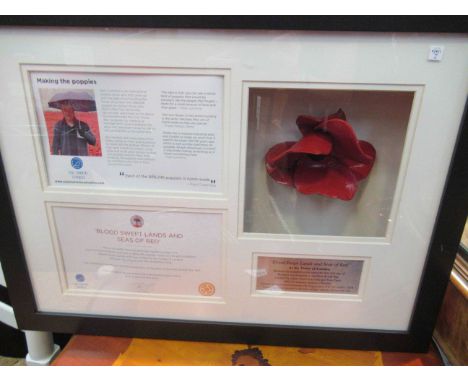 A Paul Cummins "Blood Swept Lands and Seas of Red" ceramic Tower of London poppy in display case with original box