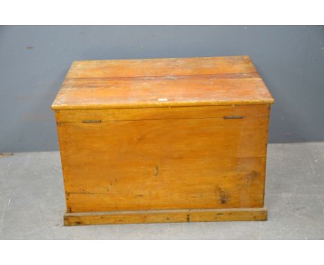 Pine trunk 