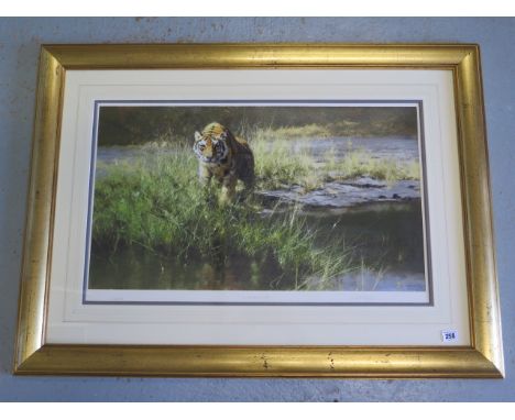 David Shepherd, signed limited edition print, The Bandipur Tiger, 333/350 in gilt frame, good condition minor knocks to frame