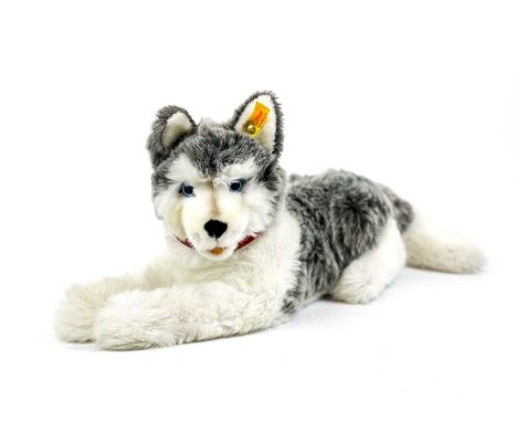 Steiff white / grey husky dog A Steiff white and grey young husky dog - length to end of tail 60cms. In very good condition w