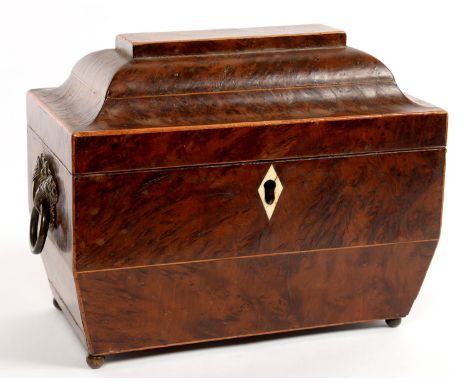 A REGENCY YEW WOOD AND LINE INLAID TEA CADDY,THE DIVIDED INTERIOR WITH PAIR OF LIDS, BRASS CORNUCOPIAE HANDLES, 20CM L  