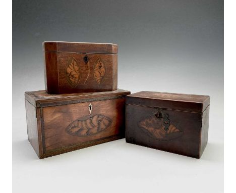 A George III satinwood and crossbanded caddy, with shell and foliate inlay, width 24.5cm, together with two other shell inlai