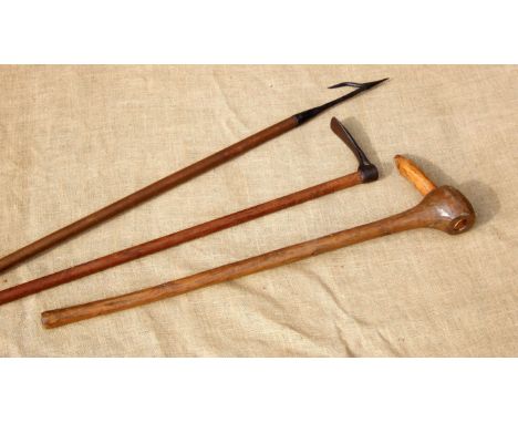 A CROFTER’S CASCHROM, A BARLEY HOE AND A TANGED CULTIVATION TOOL. 19th/early 20th century. The caschrom was a tillage impleme