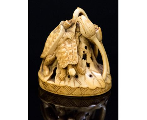 An Oriental ivory netsuke, carved as a turtles amongst foliage, height 5cm