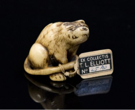 An oriental ivory/bone netsuke, carved as a seated tiger, height 3cm, with old label 'Ex Collectis, T.L. Elliott' 