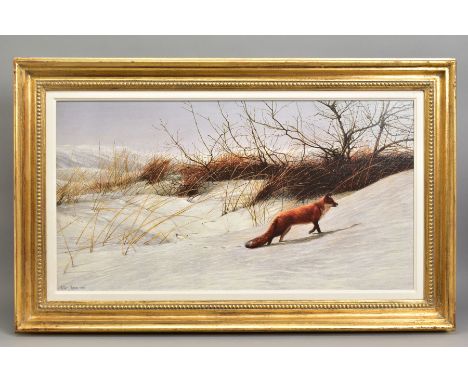 PETER MUNRO (BRITISH CONTEMPORARY), 'PAWS IN THE SNOW', a print on board of a Fox in a winter setting, Rosenstiels label vers