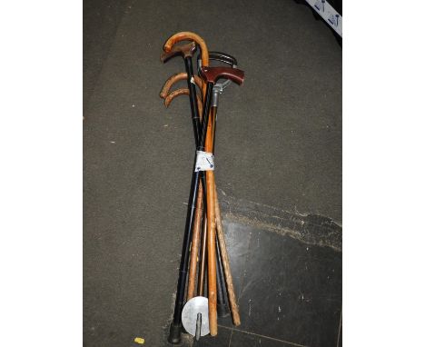 Walking Stick, Shooting Stick etc 