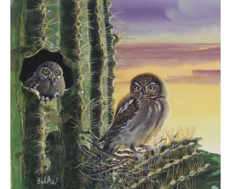 Don Balke (North Carolina, B. 1933) "Elf Owl Perched in Saguaro" Signed lower left. Original Watercolor painting on Illustrat