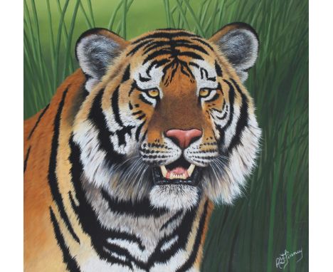 R.G. Finney (Wyoming, B. 1941) "Bengal Tiger" Signed lower right. Original Oil painting on Masonite. Provenance: Collection o