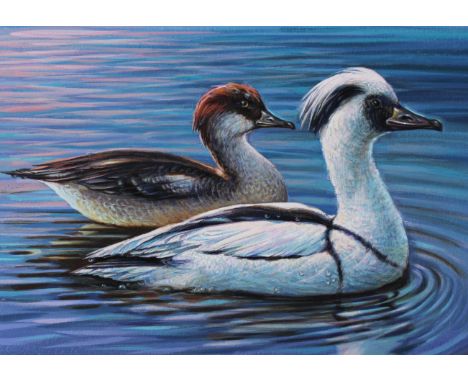 Ivan Kozlov (Russian, B. 1937) "Smew" Original Watercolor painting on Paper. Provenance: Collection of James A. Helzer (1946-