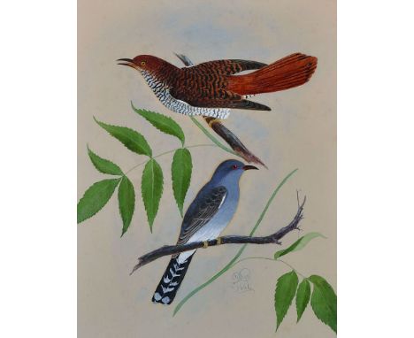 R… Dias (19th Century) Continental A Study of Birds, Watercolour, Signed and Dated 1881, 18” x 14”, together with four others