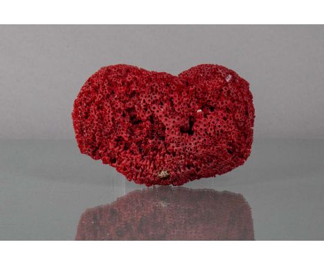 ORGAN PIPE CORAL SECTION,Tubipora musica, Red Sea, of heart form, 14cm wideProvenance: the collection of Dr. J. Gordon Todd M