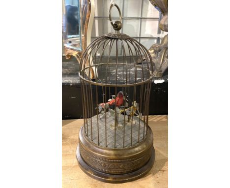 BIRDCAGE AUTOMATON