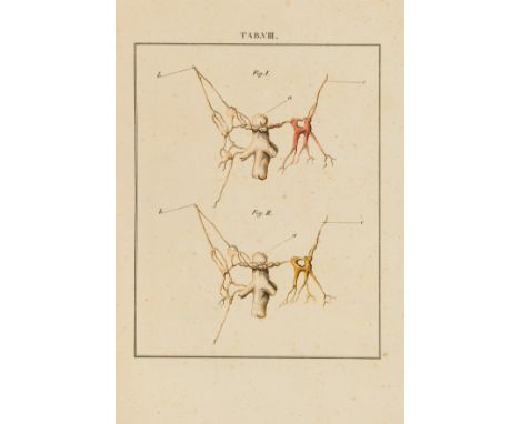 Neurology.- Lobstein (Jean Frédéric) De nervi sympathetici humani fabrica usu et morbis, first edition, half-title, 10 engrav