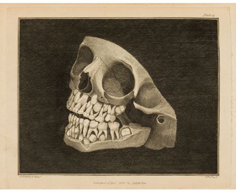 Dentistry.- Fox (Joseph) The Natural History of the Human Teeth, first edition, 13 engraved plates, each with explanatory lea