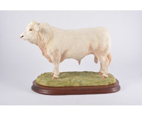 Border Fine Arts model of Charolais Bull, No 373/950, with certificate, height 26cm.