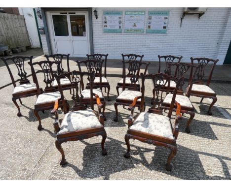 A set of Chippendale style mahogany dining room chairs standing on claw and ball feet with cream and floral upholstered seats
