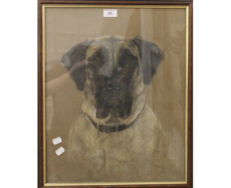 SIDNEY LANGDON, Portrait of a Dog ''Elizabeth'', pastel, dated 1935, framed and glazed. 40 x 50 cm.