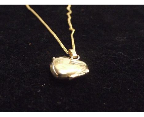 9ct gold locket and chain