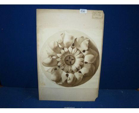 Augusta Mary Warren: graphite study of an architectural plaster rose feature (Kensington School of Art, 1870's).