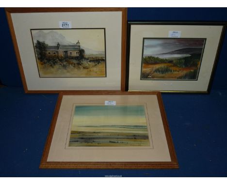 Three framed and mounted Watercolours signed by the artist Ann Pinney, 'A Welsh Cottage', 'Sand Dunes' and a Seascape.