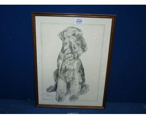 A Pollyanna Pickering print of an Airedale Terrier.