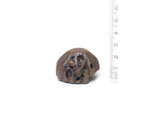 A wood netsuke of a wasp and nestEarly 19th centuryThe wasp resting outside the nest section, several open cells containing i