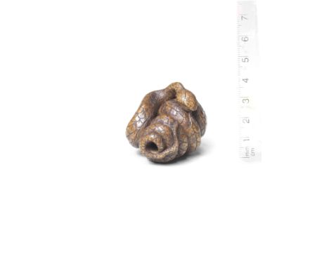 A wood netsuke of a snakeBy Tametaka, Nagoya, 18th centuryThe snake coiled in several tight loops, its head resting on top, p